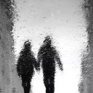 我看了五十六次日落.