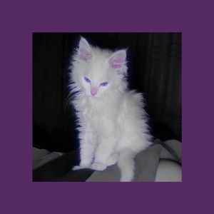 【Free】“desire” - Jersey Club Type Beat