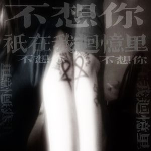 不想妳祇在我的回憶裡