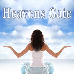 Dew Drops in the Sun