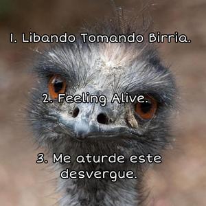 Me aturde este desvergue