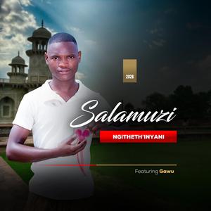 Ngitheth'inyani ft Gawu