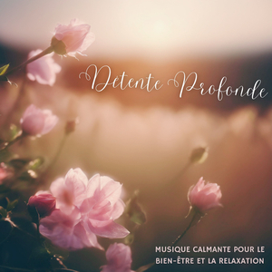 Paisible voyage méditatif