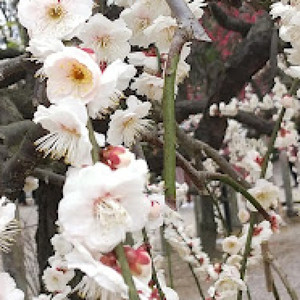 タイピングの鬼