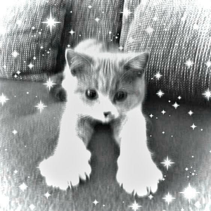 "PAINFUL LIFE" | SASIOVERLXRD * 隼 Type Beat