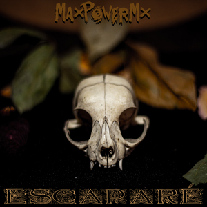 Escaparé (Radio Edit)