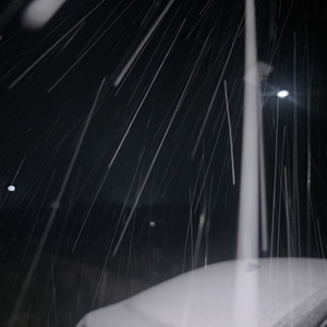 言不由衷说不想你