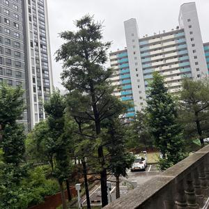 見聞不等 同體大悲(japan)