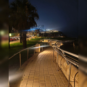 לא רוצה מכללה