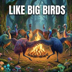 LIKE BIG BIRDS