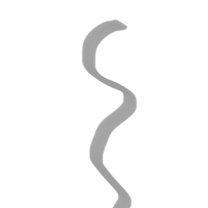 20251120_170703_0.mp3