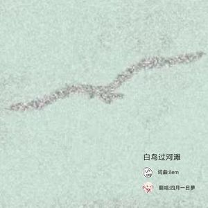 白鸟过河滩
