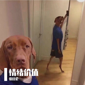 情绪价值Prodby金桔0RANG3