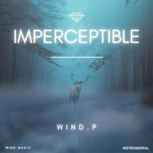Imperceptible (Instrumental)