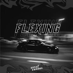 Flexıng
