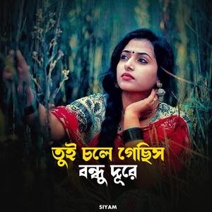 তুই চলে গেছিস বন্ধু দূরে