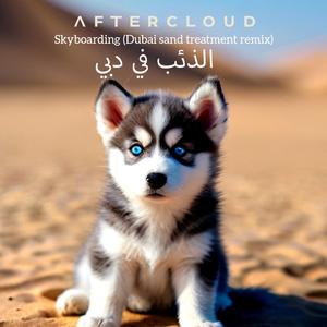 Skyboarding -Dubai sand treatment (Radio Edit)