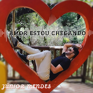 Amor Estou Chegando