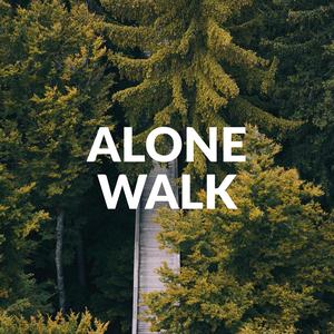 Midnight Window Walk Dusty