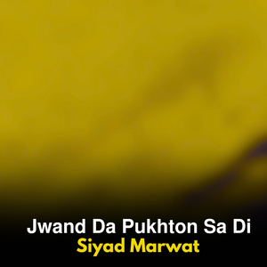Jwand Da Pukhton Sa Di