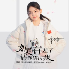 如果有下辈子请你绕过我 (DJ阿豪版)