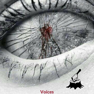 Voices