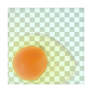 半熟 (feat. 知声)