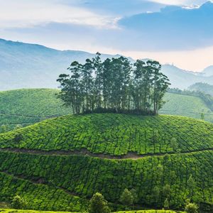 你爱的第一个人是你灵魂缺失的拼图