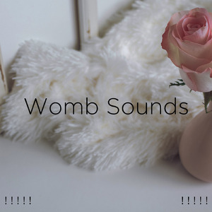 화이트 노이즈 수면