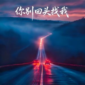 你别回头找我
