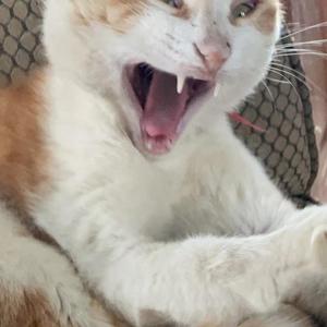 别叫我亚逼part2