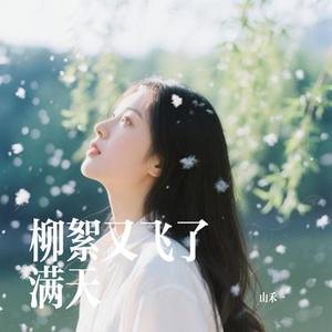 柳絮又飞了满天