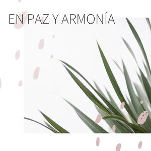 El Chakra del Corazón