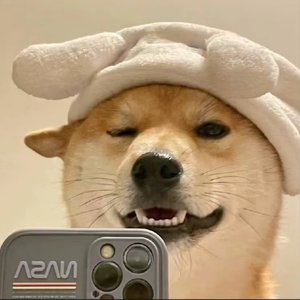 宿命（Cover：FOX胡天渝）