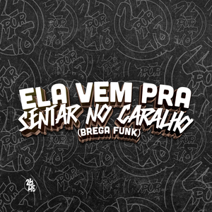 Ela Vem pra Sentar no Caralho - Brega Funk