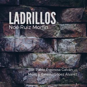 Ladrillos