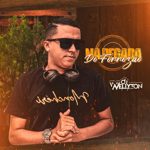 Forrozão Piscina e Paredão