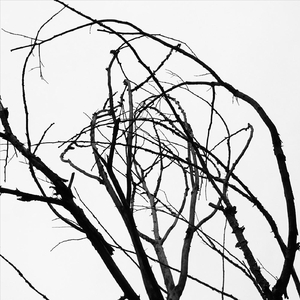 Movement over Frozen Frames