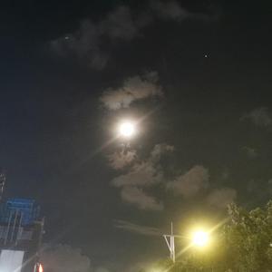 网课真的好无聊