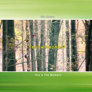 너의 가을을 바라보는 밤