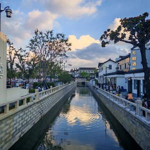 涩柿子般的心事