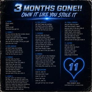 Own It Like You Stole It (Long Radio Version )