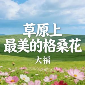 草原上最美的格桑花