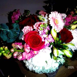 Rosebuds