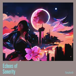 Echoes of Senerity