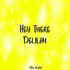 Hey There Delilah (Plain White T's)