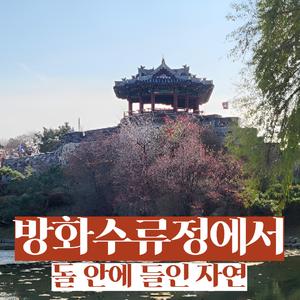 방화수류정에서｜돌 안에 들인 자연