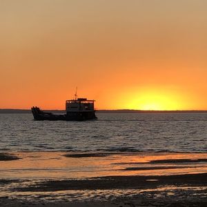 Letting Go (0.8x) 放慢版