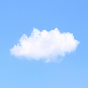 조용히 쌓이는 오후