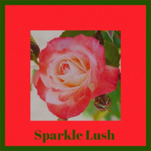 Oldschool Forever - Lo-Fi